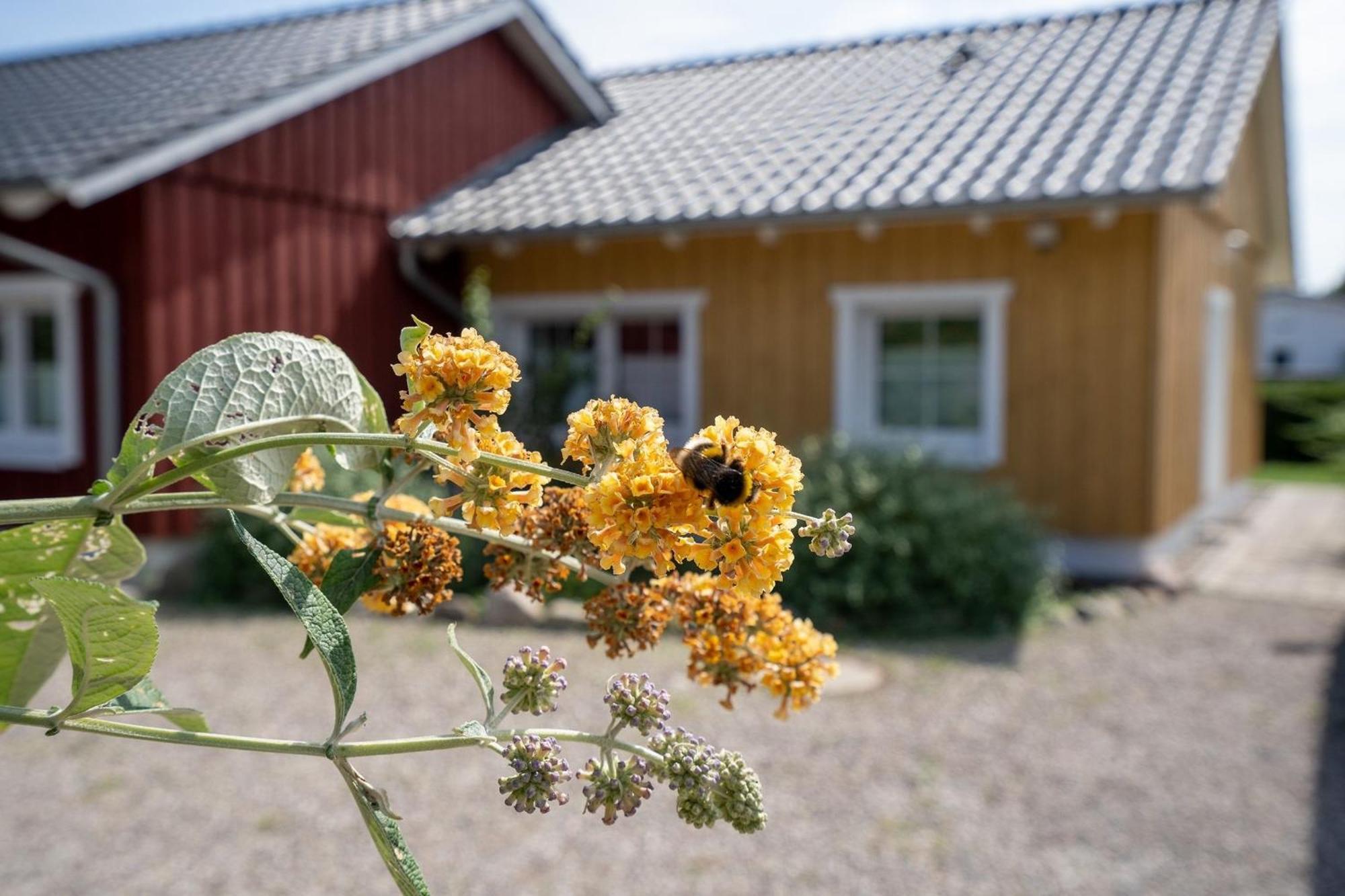 Willa Alte Dahme Haus 2 Zewnętrze zdjęcie